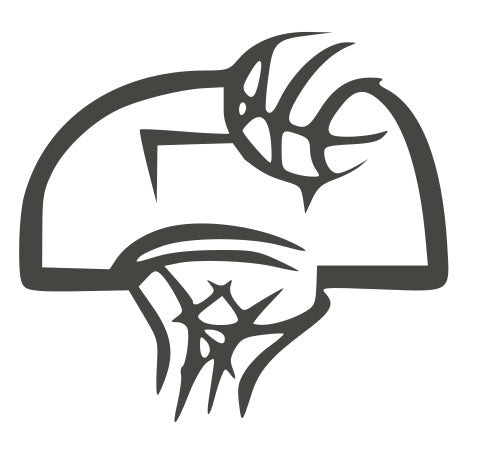 Basketball Goal
