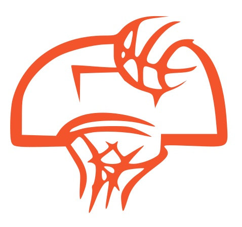 Basketball Goal