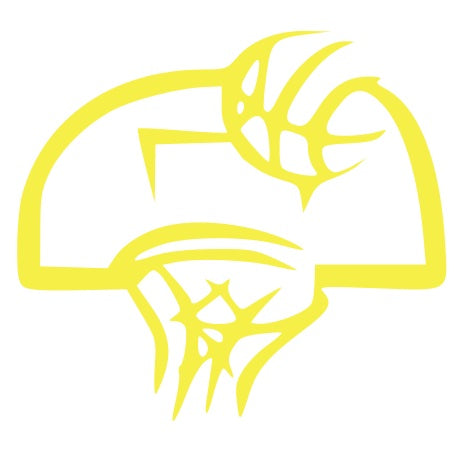 Basketball Goal