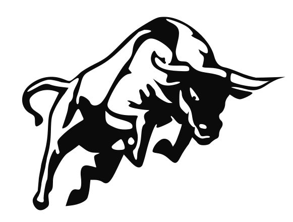 Charging Bull