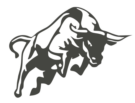 Charging Bull