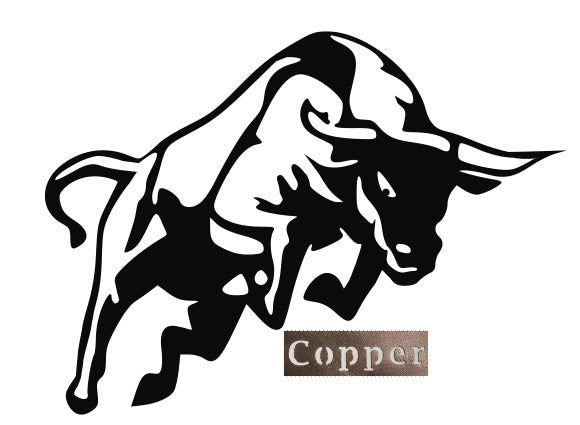 Charging Bull