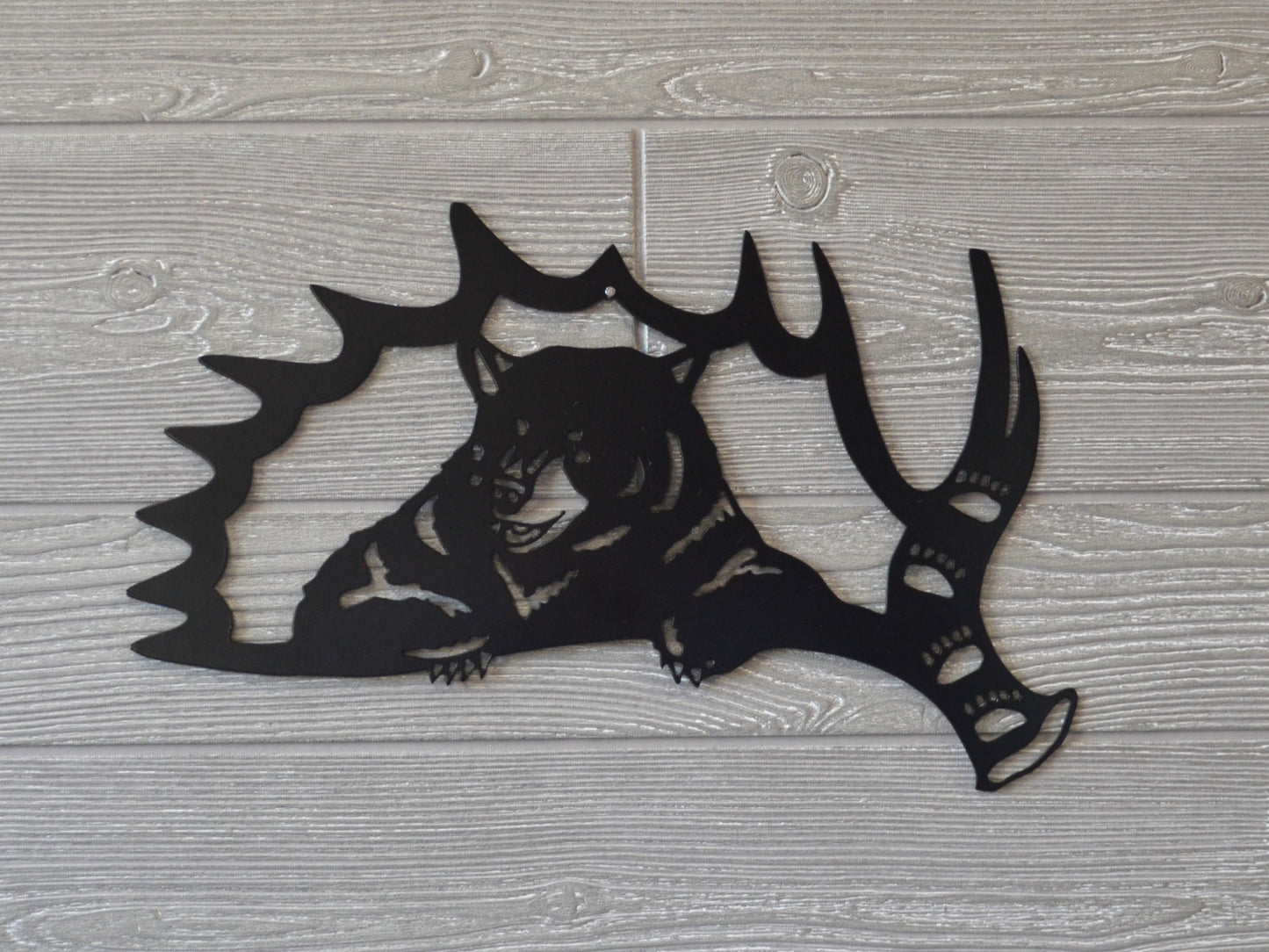 Bear in Antler