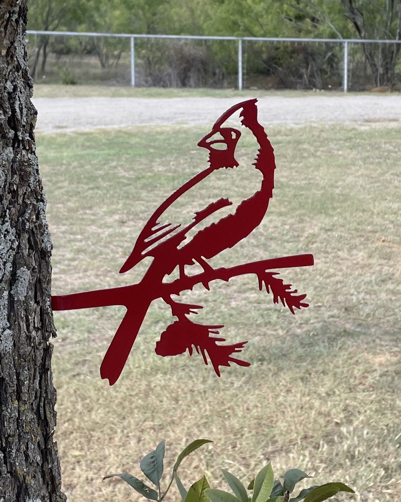 Red Bird, Nature, artistic red bird, custom metal art, decorative custom metal sign