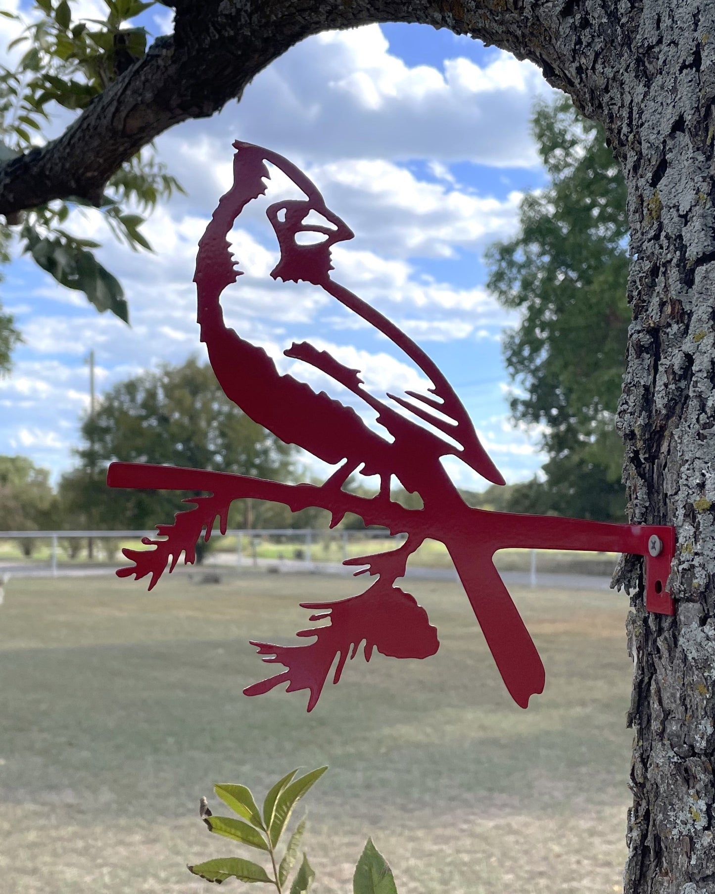 Red Bird, Nature, artistic red bird, custom metal art, decorative custom metal sign